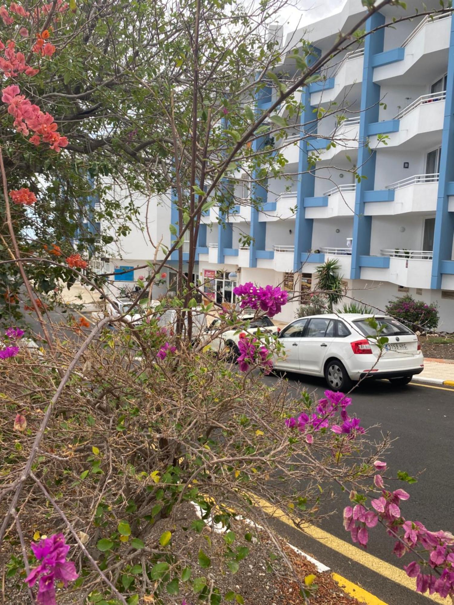 Sissy Tenerife Apartman San Miguel de Abona Luaran gambar